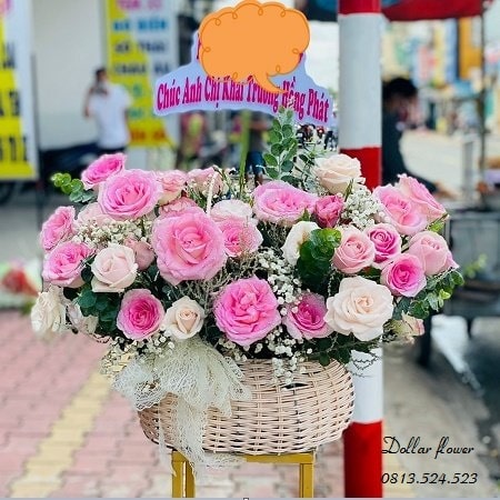 HG046 - Chúc Mừng