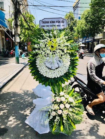 snapedit_1748080500428_11zon