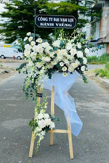 snapedit_1748080557393_14_11zon