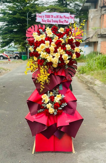 snapedit_1748080557393_19_11zon