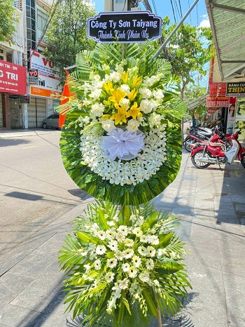 snapedit_1748080557393_1_11zon