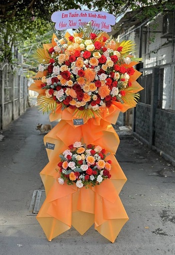 snapedit_1748080557393_20_11zon