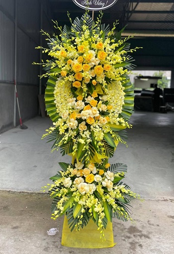 snapedit_1748080557393_3_11zon