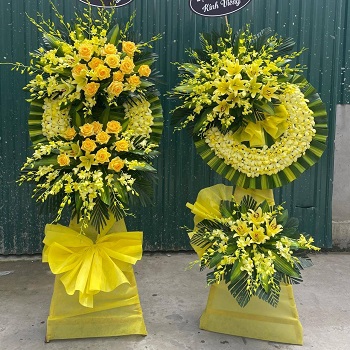 snapedit_1748080557393_5_11zon