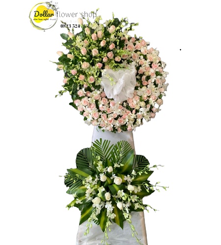 Shop Hoa Tươi Ở Thị Xã Trảng Bàng Tây Ninh