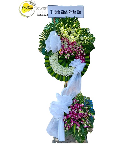 Shop Hoa Tươi Ở Thị Xã Đông Triều Quảng Ninh