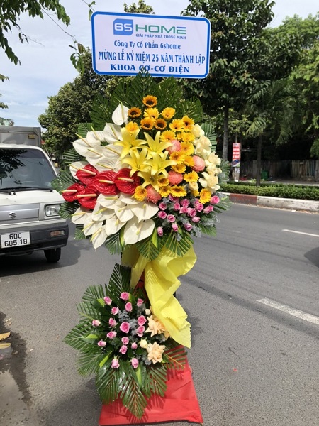 SGDL66- Miễn phí giao ở  Phường 05 Quận Tân Bình