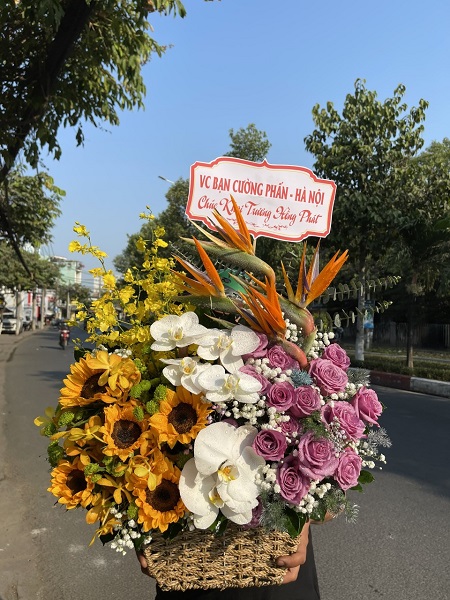 SGDL80- Miễn phí giao ở  Phường Phú Trung Quận Tân Phú