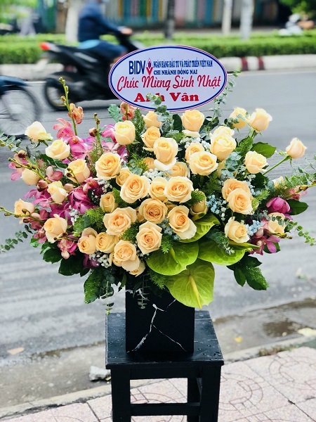 SGDL164- Miễn phí giao ở  Phường 08 Quận 11