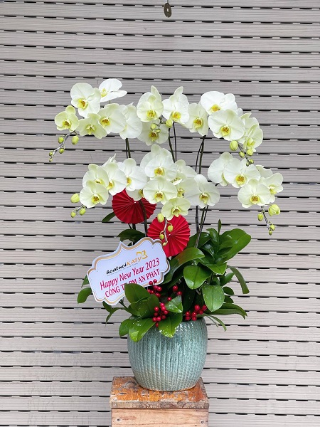 SGDL207- Shop hoa tươi ở Phường 02 Quận 6