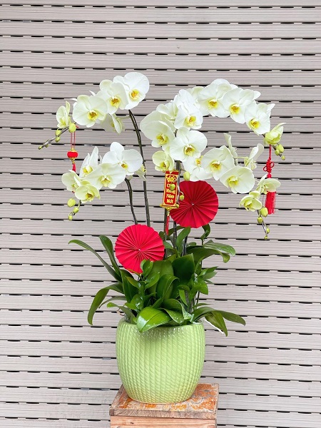 SGDL208- Đặt hoa online ở Phường 01 Quận 6