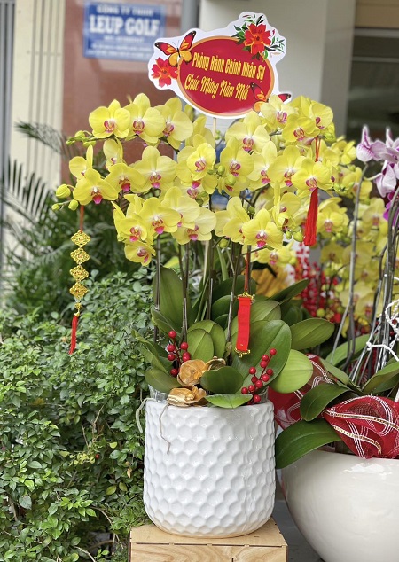 SGDL209- Cửa hàng hoa tươi ở Phường 04 Quận 6