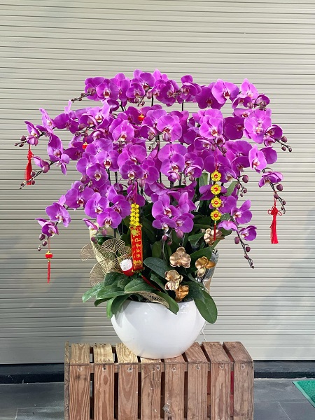 SGDL210- Tiệm hoa tưởi ở Phường 08 Quận 6