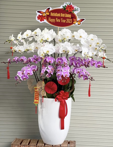 SGDL211- Giao hoa tại Phường 03 Quận 6