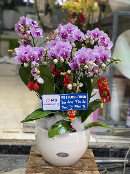 SGDL212- Đặt hoa giao ở Phường 07 Quận 6