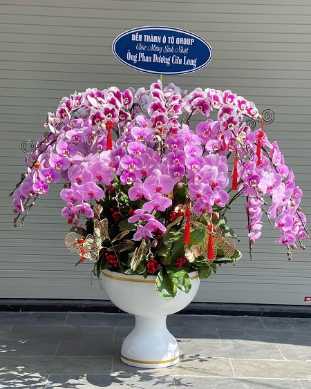 SGDL214- Shop hoa tươi ở Phường 08 Quận 8