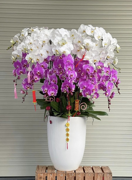 SGDL217- Tiệm hoa tưởi ở Phường 03 Quận 8