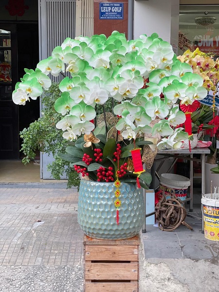 SGDL220- Miễn phí giao ở  Phường 10 Quận 8