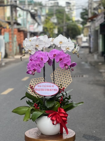 HN2 - Giao hoa tận nơi tại Phường Trúc Bạch Quận Ba Đình