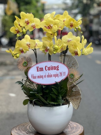 HN4 - Mua hoa tươi ở Phường Cống Vị Quận Ba Đình