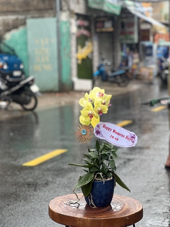 HN8 - Cửa hàng hoa tươi Phường Ngọc Hà Quận Ba Đình