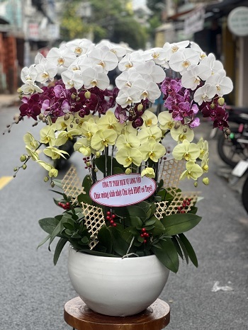 HN15 - Shop hoa ở Phường Phúc Tân Quận Hoàn Kiếm