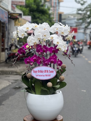 HN32 - Ship hoa tươi ở Phường Hàng Bài Quận Hoàn Kiếm