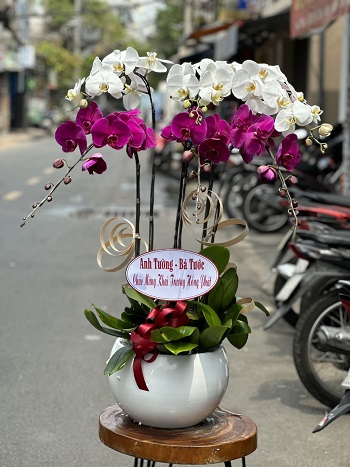 HN79 - Giao hoa hỏa tốc ở Phường Trung Tự Quận Đống Đa