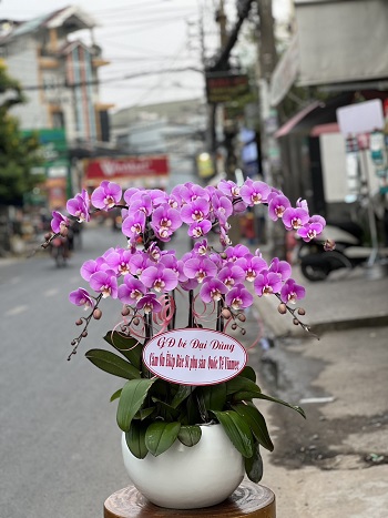 HN109 - Miễn ship hoa tươi ở Phường Đại Kim Quận Hoàng Mai