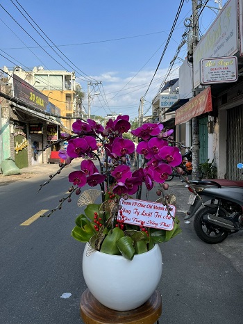 HN152 - Cửa hàng hoa tươi Phường Nguyễn Trãi Quận Hà Đông