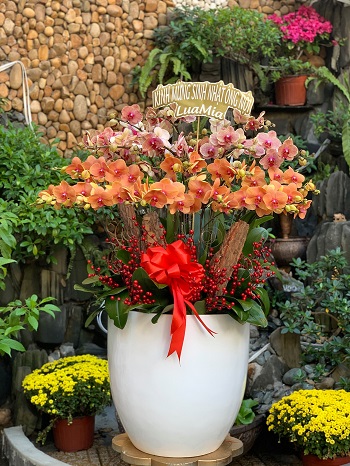 HN157 - Mua hoa tươi ở Phường Quang Trung Quận Hà Đông