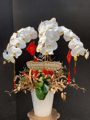 HN158 - Ship hoa tươi ở Phường La Khê Quận Hà Đông