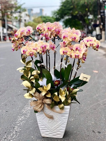 HN165 - Đặt hoa online tại Phường Phú Lương Quận Hà Đông