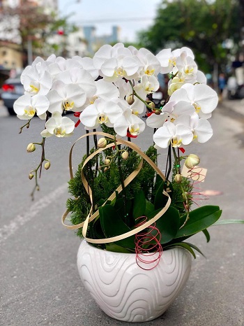 HN166 - Mua hoa tươi ở Phường Dương Nội Quận Hà Đông