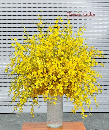 HP193 - Mua hoa tươi ở Phường Cát Dài Quận Lê Chân