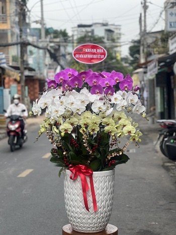 HP236 - Giao hoa tận nơi tại Phường Hải Thành Quận Dương Kinh