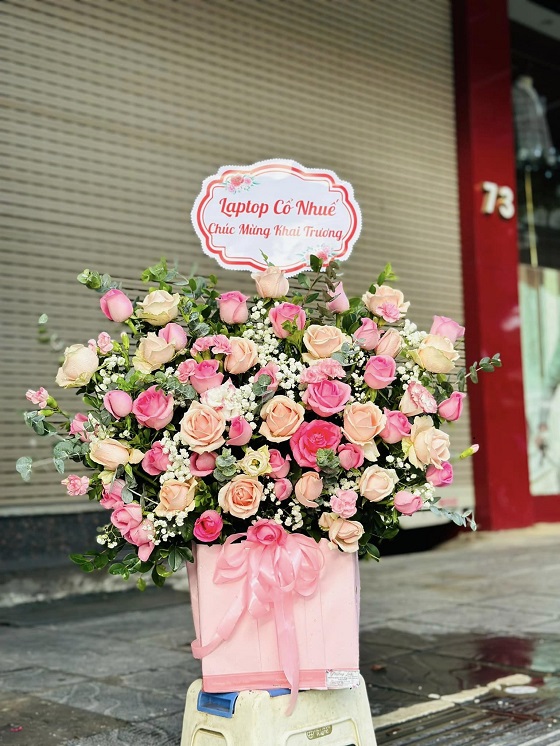 HG6 - Hạnh Phúc Bình An