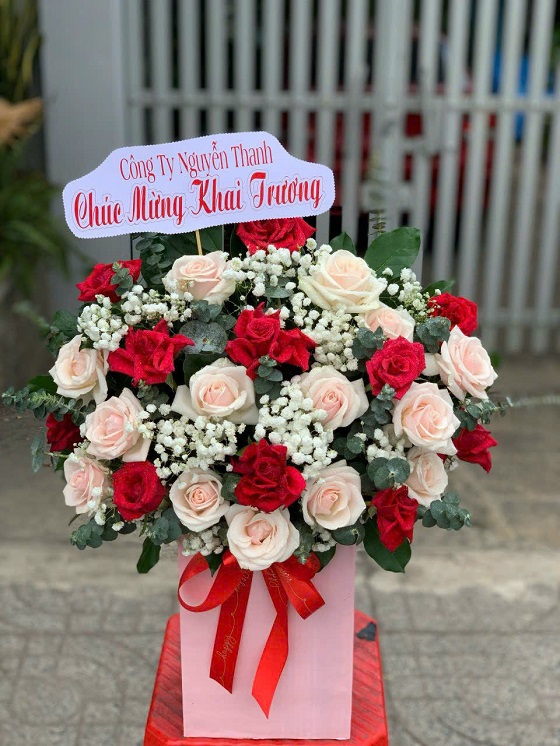 HG9 - Luôn Xinh Đẹp