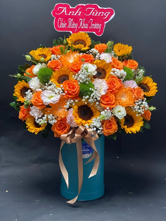 HG21 - Vui Vẻ Và Tươi Trẻ