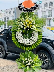 HV135 - Xin Chia Buồn