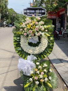 HV138- Thương Tiếc