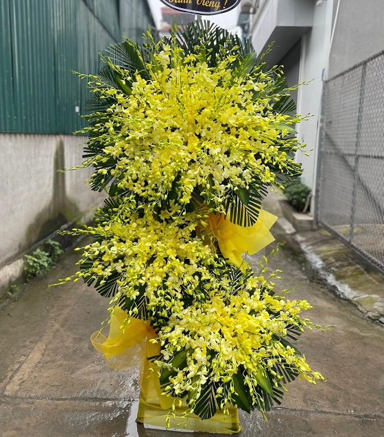 HVDL546- Trang Trọng